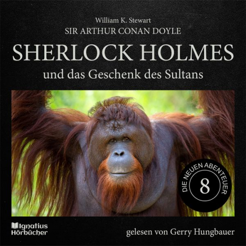 Arthur Conan Doyle William K. Stewart - Sherlock Holmes und das Geschenk des Sultans (Die neuen Abenteuer, Folge 8)