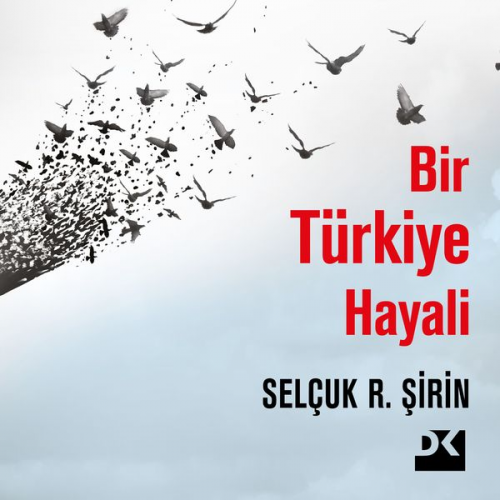 Selçuk Şirin - Bir Türkiye Hayali