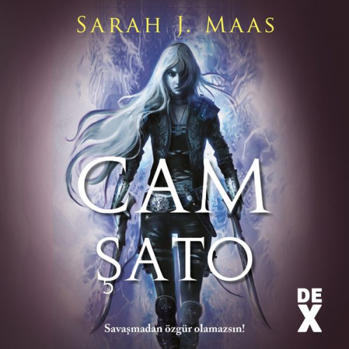 Sarah J. Maas - Cam Şato