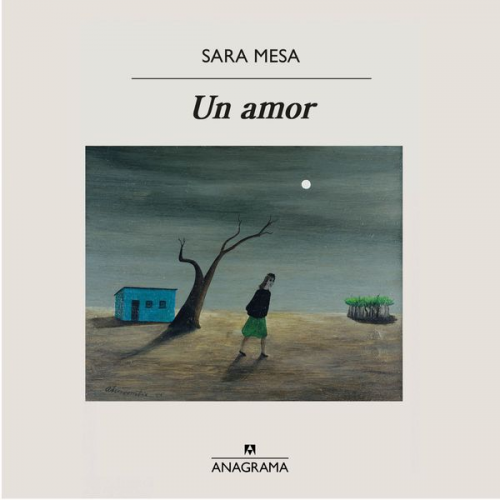 Sara Mesa - Un amor