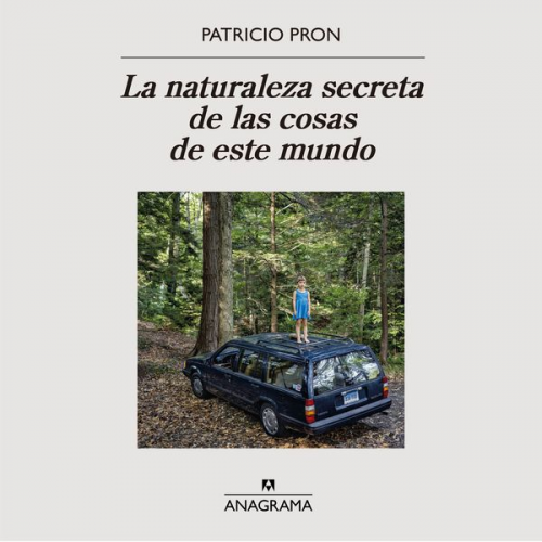 Patricio Pron - La naturaleza secreta de las cosas de este mundo