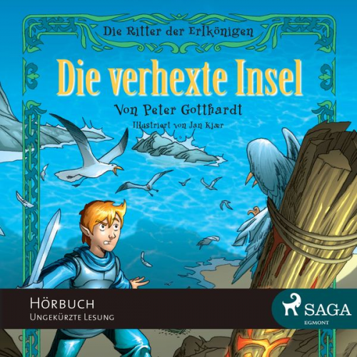 Peter Gotthardt - Die Ritter der Elfenkönigin, Folge 2: Die verhexte Insel (ungekürzt)