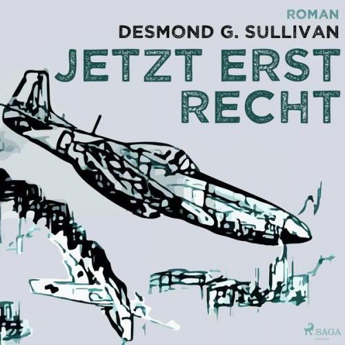 Desmond G. Sullivan - Jetzt erst recht - Fliegergeschichten 8 (Ungekürzt)