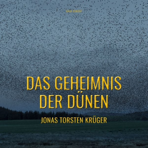 Jonas Torsten Krüger - Das Geheimnis der Dünen - Gefährliche Ferien auf Norderney