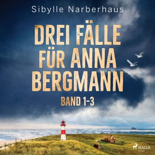 Sibylle Narberhaus - Drei Fälle für Anna Bergmann (Band 1-3)