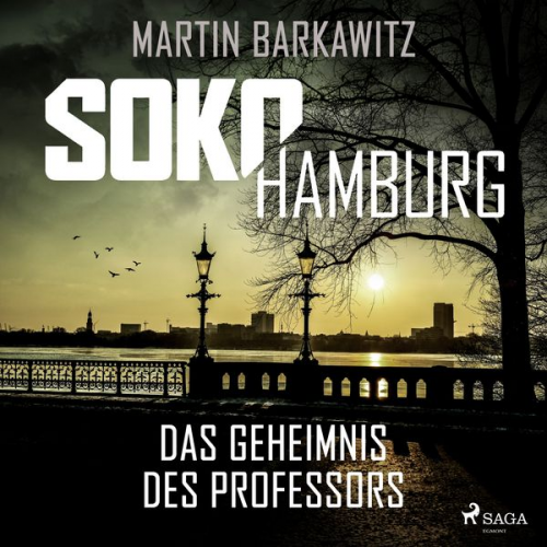 Martin Barkawitz - SoKo Hamburg: Das Geheimnis des Professors (Ein Fall für Heike Stein, Band 9)