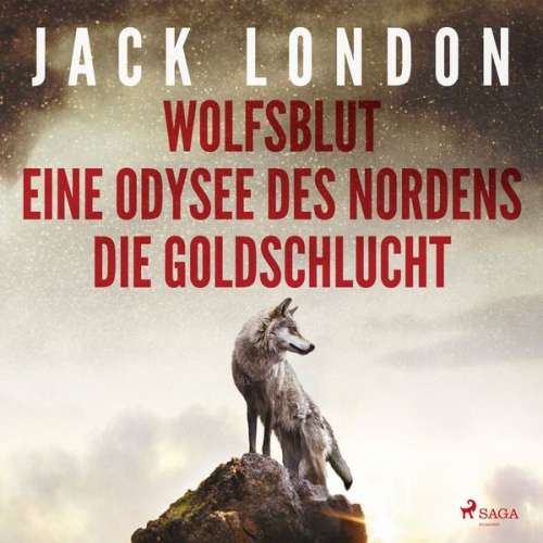 Jack London - Klassiker to go: Jack London: Wolfsblut, Die Goldschlucht, Eine Odysee des Nordens