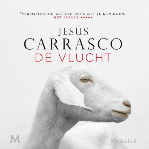 Jesús Carrasco - De vlucht