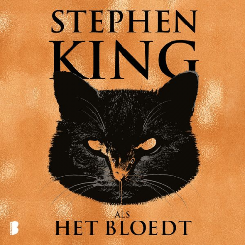 Stephen King - Als het bloedt