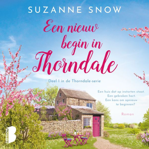 Suzanne Snow - Een nieuw begin in Thorndale