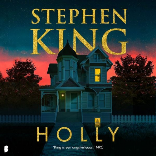 Stephen King - Holly