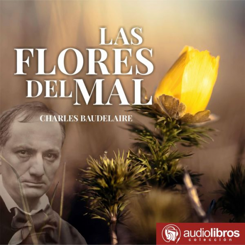 Charles Baudelaire - Las flores del mal