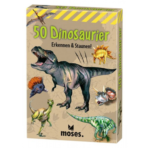 Carola Kessel - 50 Dinosaurier