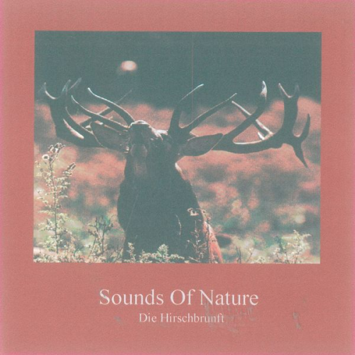 Thomas Kommer Gerhard Lischka - Sounds of Nature - Die Hirschbrunft