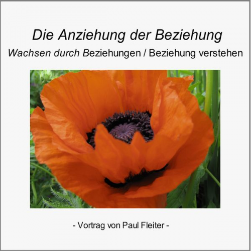 Paul Fleiter - Die Anziehung der Beziehung