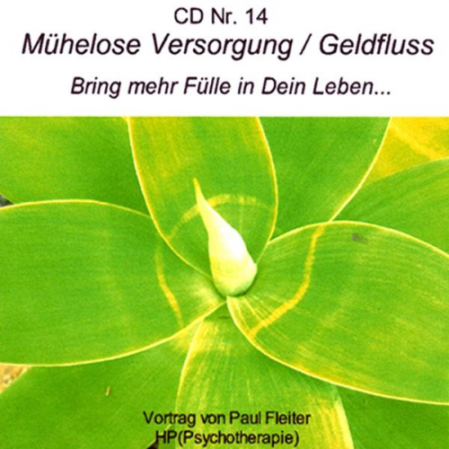 Stephen Janetzko - Mühelose Versorgung / Geldfluss