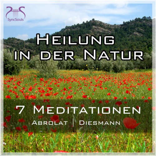 Franziska Diesmann Torsten Abrolat - Heilung in der Natur - 7 einzigartige geführte Meditationen zum Auftanken im Alltag