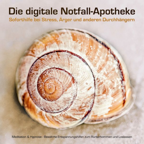 Patrick Lynen - Die digitale Notfall-Apotheke: Soforthilfe bei Stress, Ärger und anderen Durchhängern