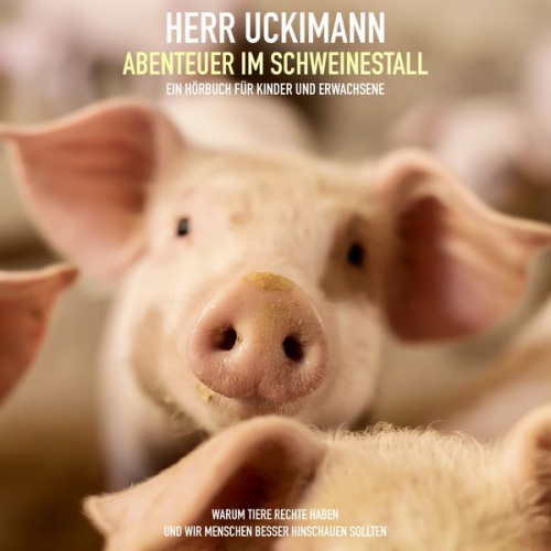 Stephan Falk - Herr Uckimann - Abenteuer im Schweinestall