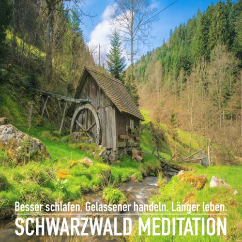 Patrick Lynen - DIE SCHWARZWALD MEDITATION: Spüre dich wieder und erlebe einzigartige Momente der Ruhe