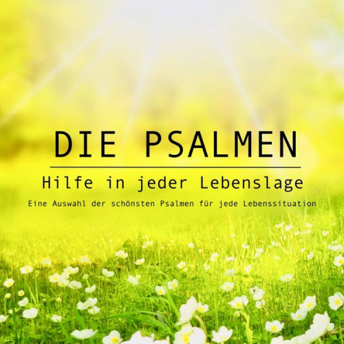 Ingo Hoppe - Die Psalmen: Hilfe in jeder Lebenslage