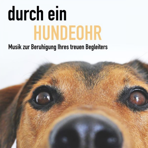 Regina Baldoni Joshua Cranston - Durch ein Hundeohr - Entspannungsmusik für Hunde