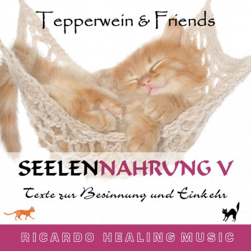 Seelennahrung 5: Texte zur Besinnung und Einkehr (Tepperwein and Friends)