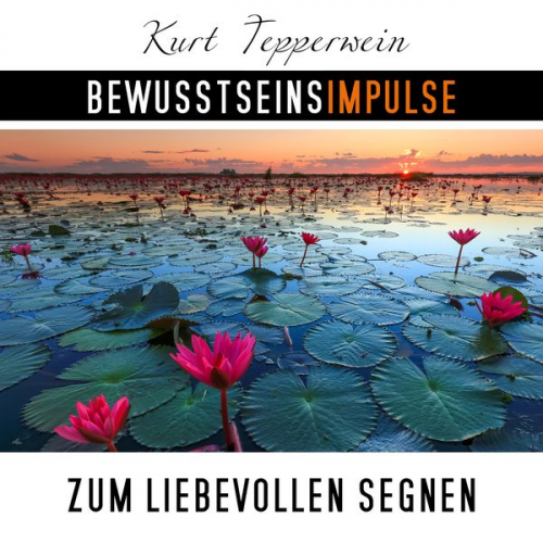 Kurt Tepperwein - Bewusstseinsimpulse zum liebevollen Segnen