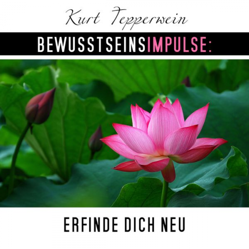 Kurt Tepperwein - Bewusstseinsimpulse: Erfinde dich neu