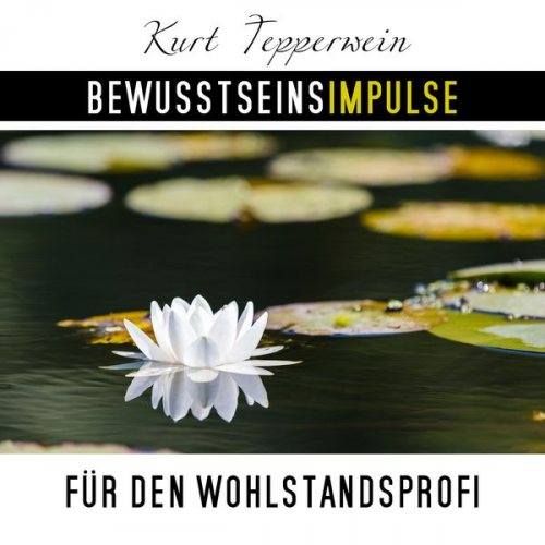 Kurt Tepperwein - Bewusstseinsimpulse für den Wohlstandsprofi