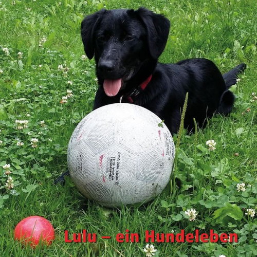 Lulu - Ein Hundeleben