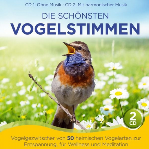 Naturklang - Die schönsten Vogelstimmen-Vogelgezwitscher v 50