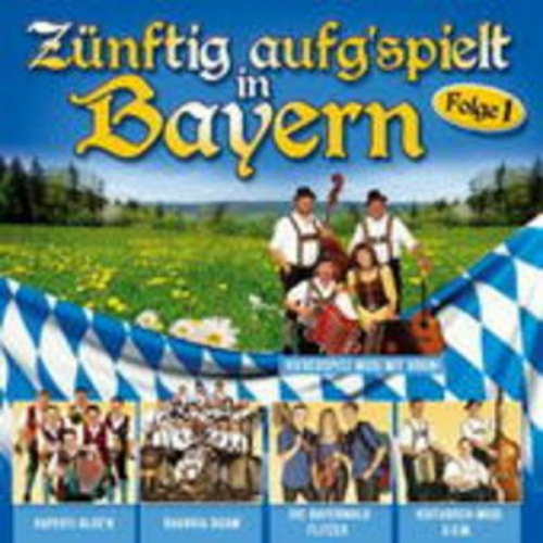 Various - Zünftig Aufgspielt In Bayern