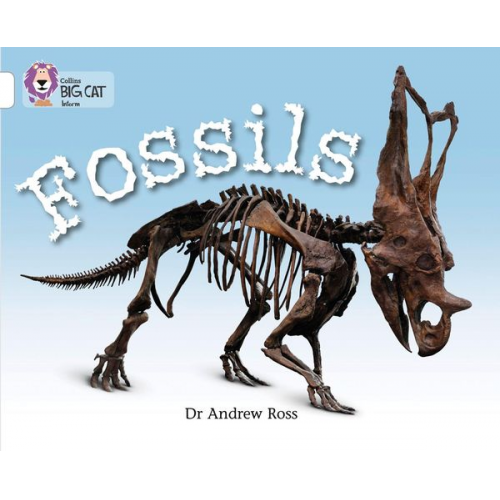 Andrew Ross - Fossils