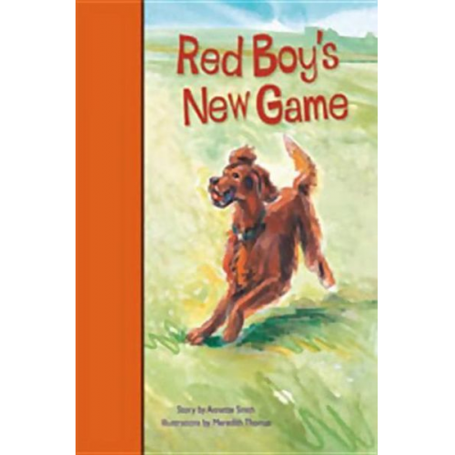 Rigby PM Stars Bridge Books: Leveled Reader Bookroom Package Orange Red Boy's New Game