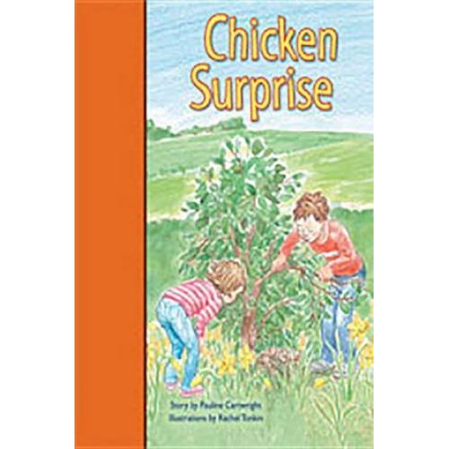 Rigby PM Stars Bridge Books: Leveled Reader Bookroom Package Orange Chicken Surprise