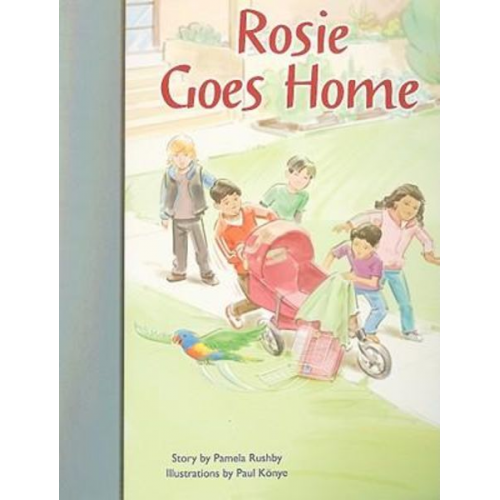 Rigby PM Stars Bridge Books: Individual Student Edition Silver Rosie Goes Home