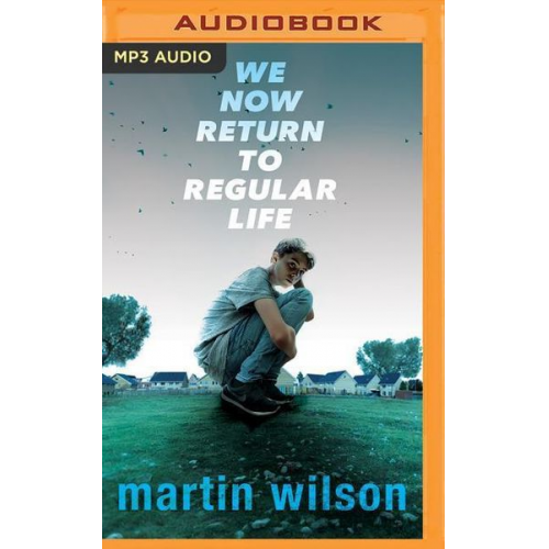 Martin Wilson - We Now Return to Regular Life