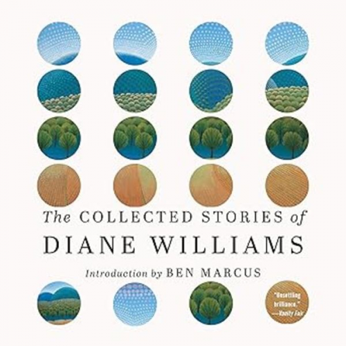 Diane Williams - The Collected Stories of Diane Williams