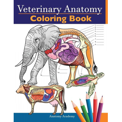 Anatomy Academy - Veterinary Anatomy Coloring Book