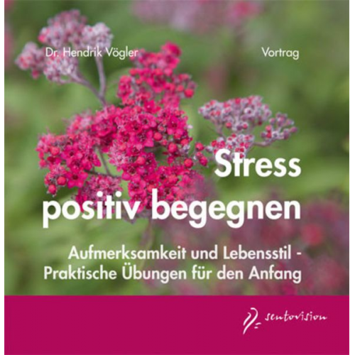 Hendrik Vögler - Stress positiv begegnen