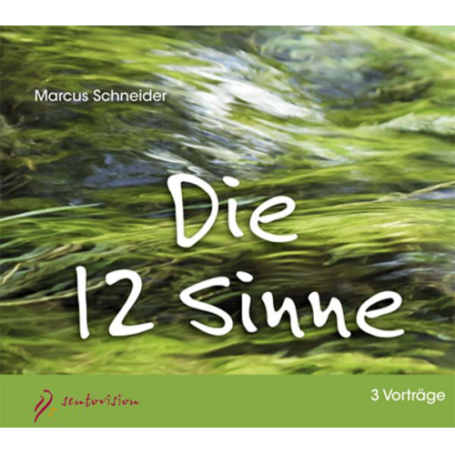 Marcus Schneider - Die 12 Sinne