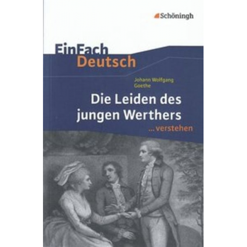 Hendrik Madsen - Die Leiden des jungen Werthers. EinFach Deutsch ...verstehen