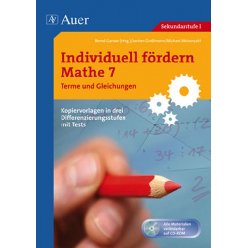 Individuell fördern Mathe 7 Terme und Gleichungen