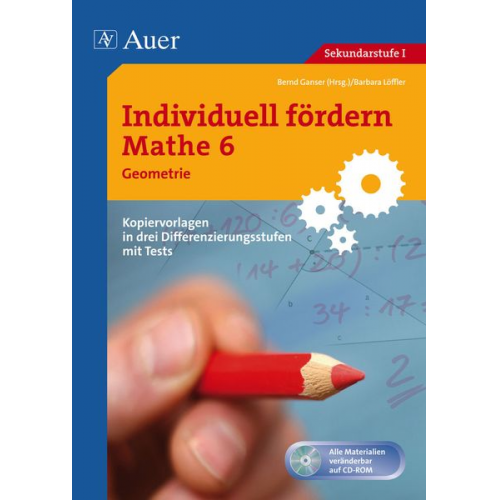 Individuell fördern Mathe 6 Geometrie