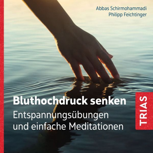 Abbas Schirmohammadi Philipp Feichtinger - Bluthochdruck senken (Audio-CD mit Booklet)