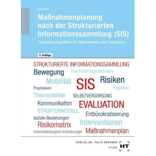 Christine Schwerdt - Maßnahmenplanung nach der Strukturierten Informationssammlung (SIS)