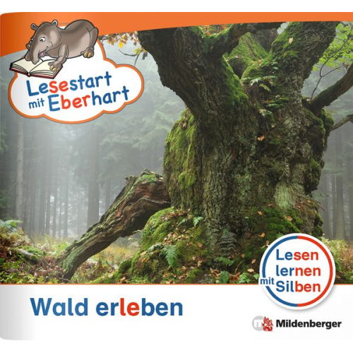 Stefanie Drecktrah - Lesestart mit Eberhart - Wald erleben