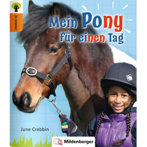 June Crebbin - Ja sowas! Mein Pony für einen Tag