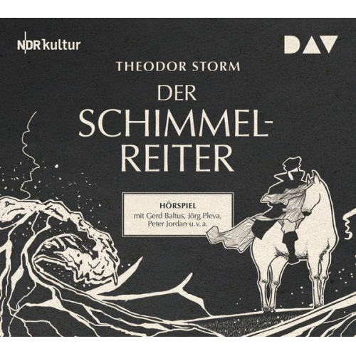 Theodor Storm - Der Schimmelreiter